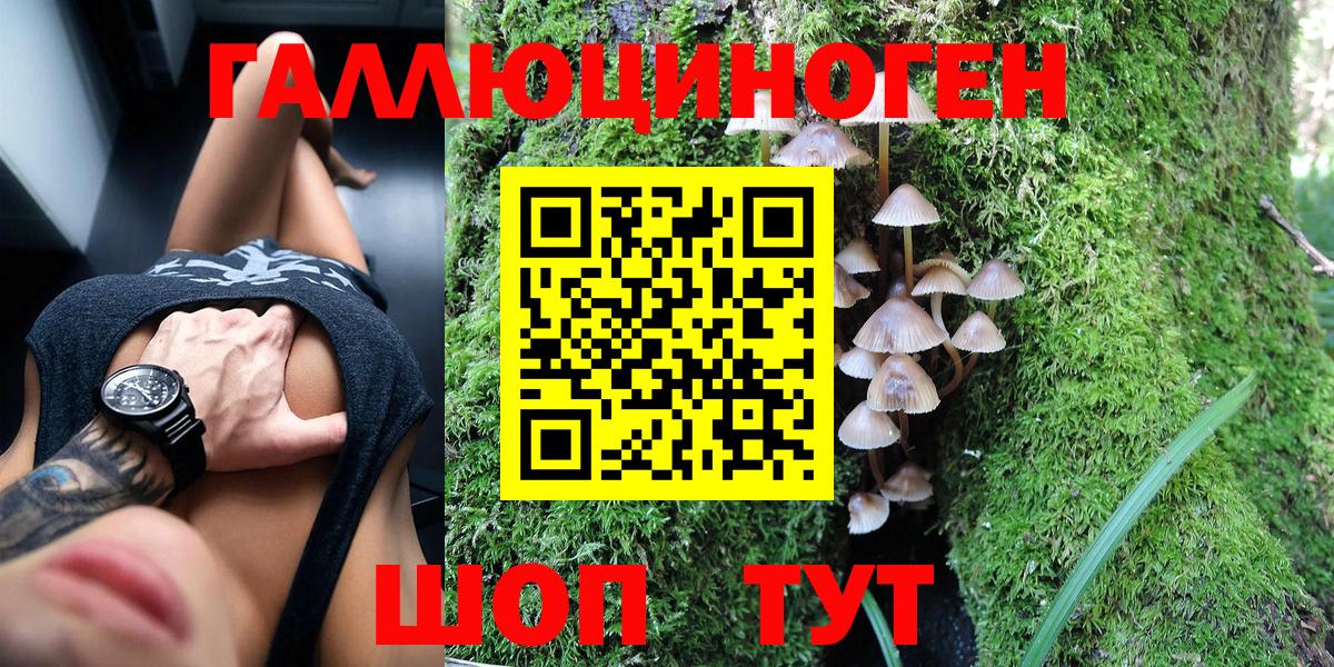 Псилоцибиновые грибы GOLDEN TEACHER  Галлюциногенные грибы Cubensis  Каспийск  Вход с VPN 